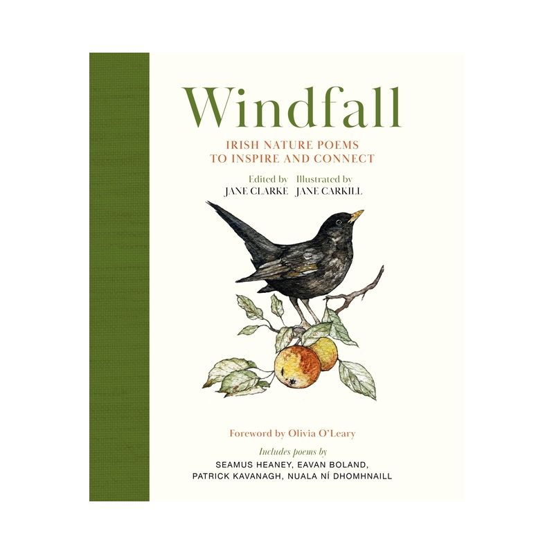 Windfall - by  Jane Clarke (Hardcover), 1 of 2