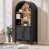 FURNIinspire Decorative Storage Cabinets High-Arched With Two Doors Three Shelves Simple Texture Design For Living Room, Black, 30.7"*15.4"*63.2" - 2 of 4
