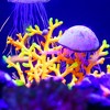 Unique Bargains Silicone Aquarium Simulation Horn Coral Fish Tank Landscape Decoration 3.39"x3.23" 1 Pc - 3 of 4