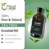Organic Way Tea Tree Essential  oil |  Essential Oil for Skin Tag Remover, Massage Oil & Humidifier Use | 4 Fl Oz (120 mL) - 2 of 4