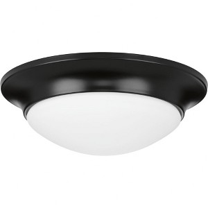 Progress Lighting, Etched Glass, 1-Light Flush Mount, Brushed Nickel, White Glass, Material: Steel, Finish Color: Black - 1 of 2