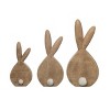 Transpac Resin 12 in. Brown Easter Pom-Pom Tail Bunny Set of 3 - 3 of 4