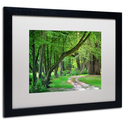 Trademark Fine Art -Philippe Sainte-Laudy 'Intimate Landscape' Matted Framed Art
