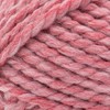 Lion Brand Wool-Ease Thick & Quick Yarn-Potion - 3 of 3