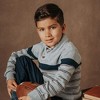 Hope & Henry Boys'  Long Sleeve Shawl Collar Sweater with Engineered Stripe, Kids - 3 of 4