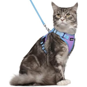 rabbitgoo Cat Harness and Leash Set, Escape , Easy Control Breathable Kitten Jacket with Reflective Strips, Purple & Blue, M - 1 of 1