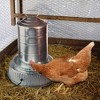 Farm Innovators 125 Watt Heated Base for Double Wall Metal Poultry Founts with 35 degrees Fahrenheit Temperature and Below, 3 Pack, Metallic - 2 of 4
