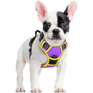 rabbitgoo Dog Harness No Pull with 2 Leash Clips, Oxford No Choke Pet Vest with Easy Control Handle for Small Dogs, Purple & Yellow, S - 1 of 1