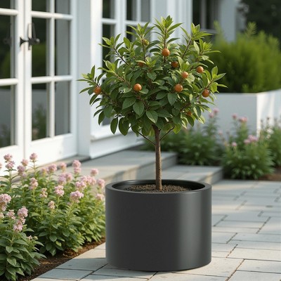 Wooakway Outdoor/Indoor/Decor/Garden Large Tall Metal Planter Pots Planter Boxes Cachepots Nursery Pots