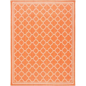 Courtyard CY6918 Indoor/Outdoor Area Rug  - Safavieh - 1 of 4