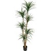 Nasitip Artificial Dracaena Tree, Realistic Fake Dracaena Plant, Tall Dracaena Houseplant for Indoor Décor, Adjustable Lifelike Faux Tree - 2 of 4