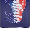 Northlight Blue and Red Buffalo Outdoor House Flag 40" x 28" - 4 of 4