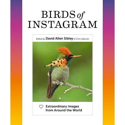 Birds of Instagram - by  David Allen Sibley (Hardcover)