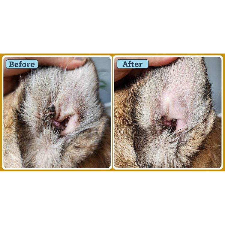 Veterinary Formula Clinical Care Ear Health Therapy Formula for Cats and Dogs - 4 fl oz, 3 of 3