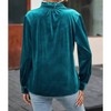 Women's Frilled Neck Buttoned Front Velvet Top - dear lover - 3 of 4