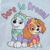 Paw Patrol Nickelodeon Skye And Everest Girls Long Sleeve Shirt And Twill Skirt Set For Toddler And Big Kids - Size 2T - 4 of 4