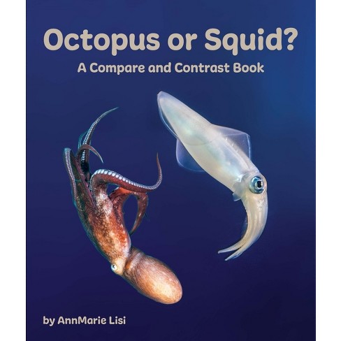 cuttlefish vs squid vs octopus