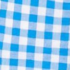 bright cobalt gingham