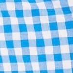 bright cobalt gingham