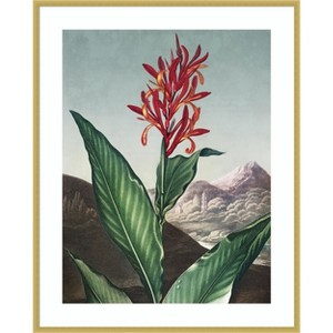 Amanti Art Temple of Flora I by Dr. robert j. Thornton Wood Framed Wall Art Print - 1 of 4