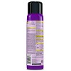 Raid Bed Bug Foaming Insecticide Spray - 16.5oz - 3 of 4