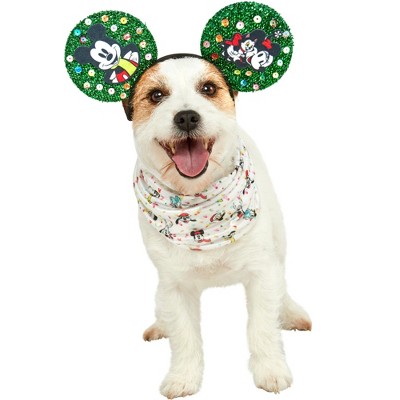  Rubie's unisex adult Disney: Mickey & Friends Pet Costume, Mickey  Mouse Party Goods, Multicolor, M Neck 14.5 Girth 20 Back 15 US : Pet  Supplies