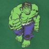 Marvel Avengers Hulk Fleece Hoodie Little Kid to Big Kid - 3 of 4