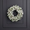 Christmas Snowy Lambs Ear and Holly Berry 24in Wreath-White - 2 of 4