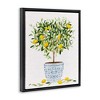 Stupell Industries Lemon Tree Detailed Planter, 17" x 21" - 3 of 4