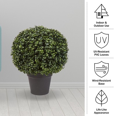 Green 21-Inch Boxwood Topiary Ball in Black Pot