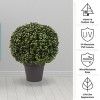 Nature Spring Realistic Plastic Faux Boxwood Topiary Arrangement for Indoor or Outdoor Use - Green - 3 of 4