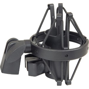 Musician's Gear MY-420 Symmetrical Studio Microphone Shockmount Black Pencil Mic - 1 of 2