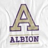 Men's Albion College Official Distressed Primary Logo T-Shirt - 2 of 4
