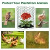 32.8ft Vinyl Coated Garden Fence Roll, 40cm Tall Plant Protection with 150 Zip Tie, 15U-Shaped Stakes, Gloves&Pliers, Adjust Wire Mesh for Vegetable - 4 of 4