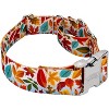 Country Brook Petz 1 1/2 Inch Martingale with Premium Buckle - Awesome Autumn Collection - 3 of 4