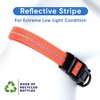 Recycled Reflective Dog Collar - 4 of 4