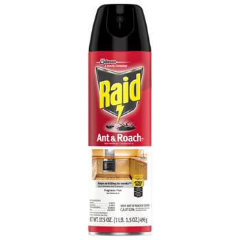 Raid Double Control Small Roach Baits Plus Egg Stoppers 12+3 Ct