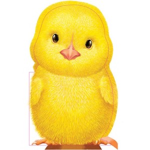 Furry Chick - (Mini Friends Touch & Feel Books) by Annie Auerbach (Board Book) - 1 of 1