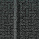 michigan state spartans