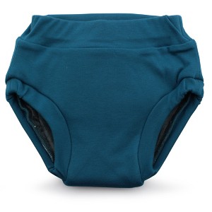 Kanga Care Ecoposh OBV (Organic viscose of Bamboo Velour) Potty Training Pants - 1 of 4