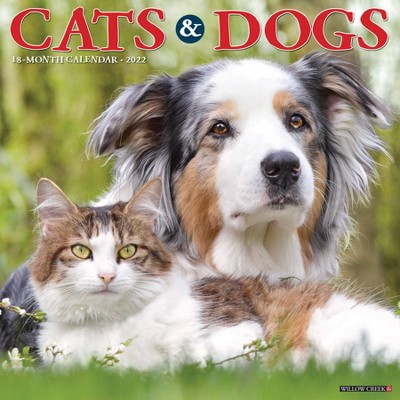 2022 Wall Calendar Cats & Dogs - Willow Creek Press