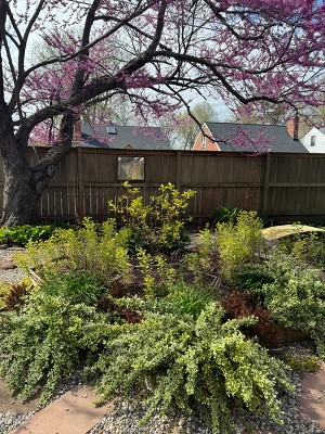 Guest review image 2 of 2, zoom in