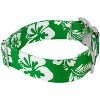 Country Brook Petz 1 1/2 Inch Premium Dog Collar - Summer Breeze Collection - 3 of 4