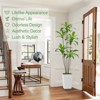 Artificial Dracaena Tree, Faux Dracaena Tree with Tall White Planter, Ideal for Home Decor and Housewarming Gift - 4 of 4