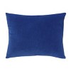 Marvel Spidey and His Amazing Friends Blue, Red, Yellow, and Green, Team Up Decorative Toddler Pillow - 3 of 4