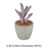 Unique Bargains Artificial Plants Flocked Split-Leaf Peperomia in Mini Pulp Plastic Purple 2.56"x2.56"x4.33" 1 Pcs - 3 of 4