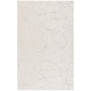 Ebony EBN533 Hand Tufted Indoor Rugs - Safavieh - 1 of 4