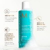 Moroccanoil Moisture Repair Shampoo 8.5oz (2 Pack) - 4 of 4
