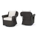 Amaya Set of 2 Wicker Swivel Rocking Chair - Dark Brown - Christopher Knight Home
