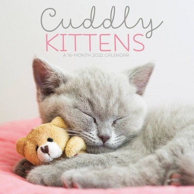 2022 Wall Calendar Cuddly Kittens - Trends International Inc
